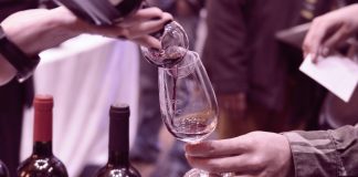 Expo Di Vino, una feria de vinos en la costa de Mar del Plata