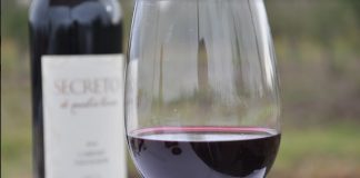 «Secreto de Nuestra Tierra», la nueva línea de Bodega Alto Limay