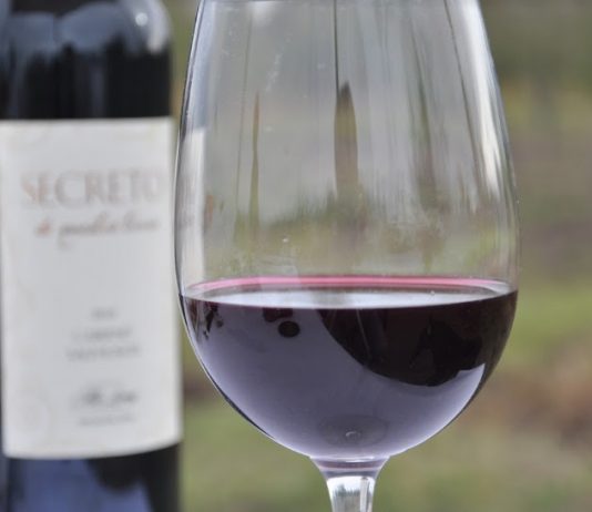 «Secreto de Nuestra Tierra», la nueva línea de Bodega Alto Limay