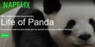 Napflix, la plataforma online para dormir la siesta