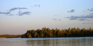 Neuquén se prepara para su primer Festival de la Cerveza Artesanal y Gastronomía