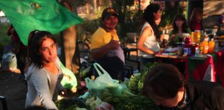 La Feria de Agronomía se agranda