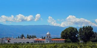 El Esteco presenta su línea Old Vines