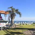 673x6731484252636_Delibike_Chandon