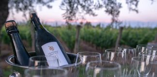 Bodega y Club Tapiz en Mendoza para San Valentín