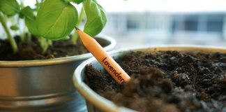 Conocé Sprout, el primer lapiz cultivable del mundo