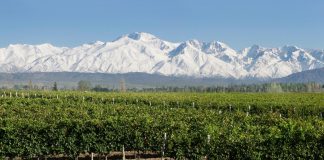 Estancia Mendoza presenta un interesante ciclo de degustaciones