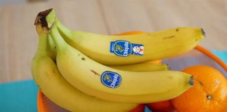 ¿Cuáles son los 5 alimentos para el humor?