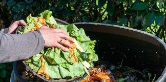 Escandaloso: Argentina desperdicia alrededor de 38 kilos de alimentos por habitante