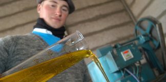 La Provincia ya desarrolla y usa biodiésel hecho con aceite de cocina usado