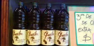 Aceites Quetec, toda la expresión del suelo mendocino