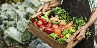 «Un menú para el cambio», nueva iniciativa internacional del Movimiento Slow Food