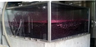 Una bodega mendocina presentó el primer vino criado en vidrio