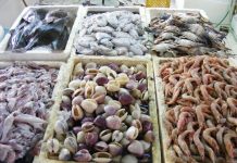 Tips para limpiar mariscos e incorporarlos a tus recetas limpiar mariscos