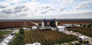 Se viene la Semana del Rock: buena música y grandes vinos en Mendoza