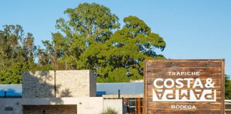 Costa & Pampa: el primer viñedo argentino ubicado junto al mar