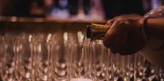 «Hasta el agua de los floreros»: un libro que repasa historia y curiosidades del mundo de las bebidas