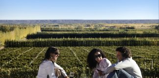 Bodegas Abiertas: una visita solidaria por los caminos del vino