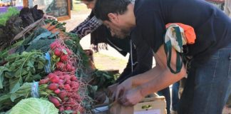 Vacaciones de invierno a pura cocina en Sabe la Tierra