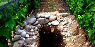 «El vino en zapatillas»: radiografía de enólogos y consumidores del siglo XXI