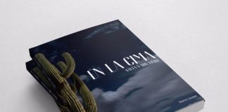 La belleza de Salta y sus vinos de altura plasmadas en un libro