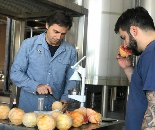 Cervecita de verano: Antares presenta su nueva «Fin de Tarde»