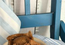 Receta de pastelitos caseros y saludables