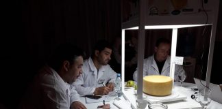 Luz Azul, el gran ganador de la Cata de Quesos más importante de la región