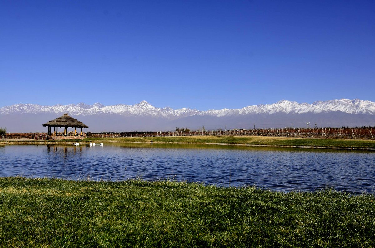 Domaine-lago