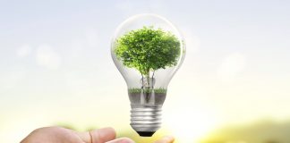 Cuidar la energia eléctrica: tips para contribuir con el planeta