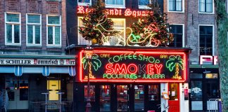 Turismo en Amsterdam: 5 actividades imperdibles