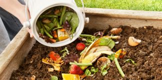 Día del Reciclaje: celebramos con 3 ideas que vale la pena implementar