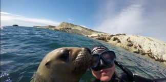 Futuro Viaje: la campaña de Puerto Madryn para reactivar el turismo