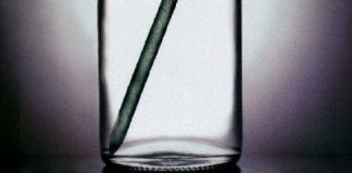 ABSOLUT NOTHING, la primera botella de vodka del mundo, sin vodka