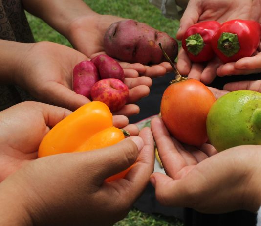 La red Slow Food lanza la campaña mundial «en mi plato»