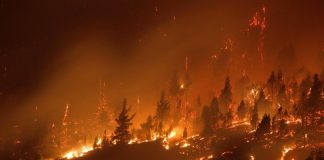 Incendios en la Comarca Andina: cómo ayudar