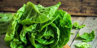 Llega San Lechuga y se festeja con un circuito gastronómico