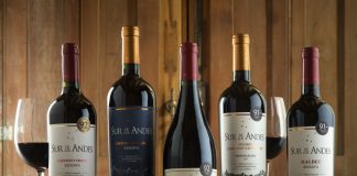 Sur de los Andes, la bodega que busca seducir al consumidor argentino