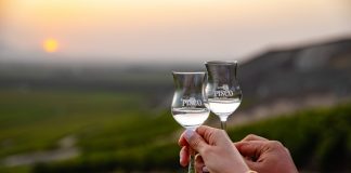 Pisco Week: una semana para impulsar el consumo de dicha bebida en la región