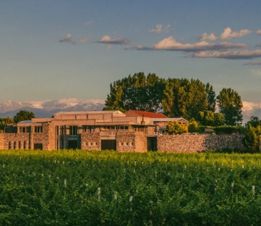 Bodegas Bianchi celebra 97 vendimias con nuevos vinos íconos y lanzamientos premium