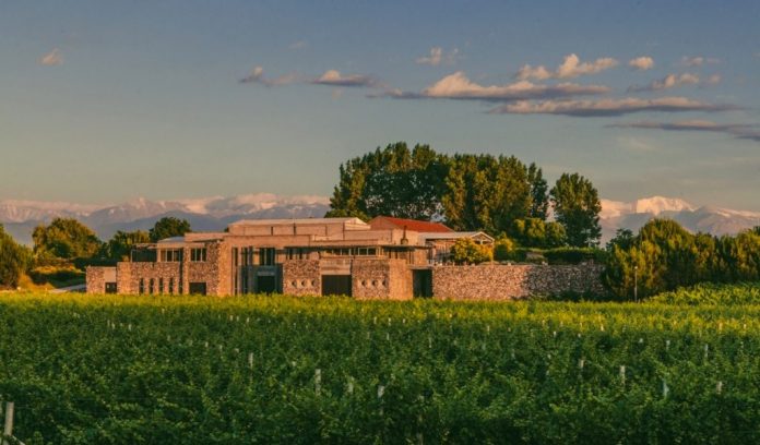 BodegaEnzoBianchi-1024x600