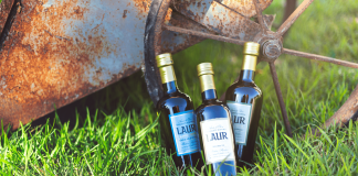 Olivícola Laur en busca de la primera Denominación de Origen para el Aceite de Oliva Mendocino