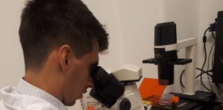 Food4You, la start-up argentina que utiliza bacterias para mejorar los alimentos de origen vegetal