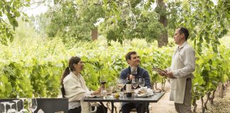Bodega Larde propone un verano entre viñedos centenarios