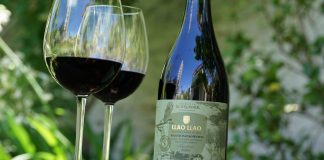 Una celebración para Sentir la Patagonia con Bodega Familia Schroeder y Llao Llao Reso