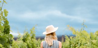 Vacaciones entre viñedos y montañas en Bodega Norton