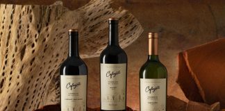 Cafayate Terroir de Altura: la evolución de la alta gama de Etchart