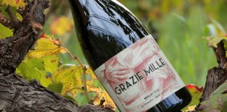 Grazie Mille: la bodega que produce vinos «de diseño»
