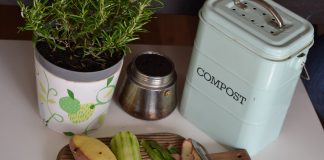 Compost en casa: cómo transformar residuos orgánicos domiciliarios en abono
