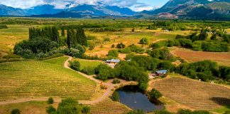 Vinos de Chubut: una nueva región para descubrir